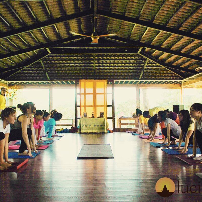 yoga retreat in spain yoga teacher training course