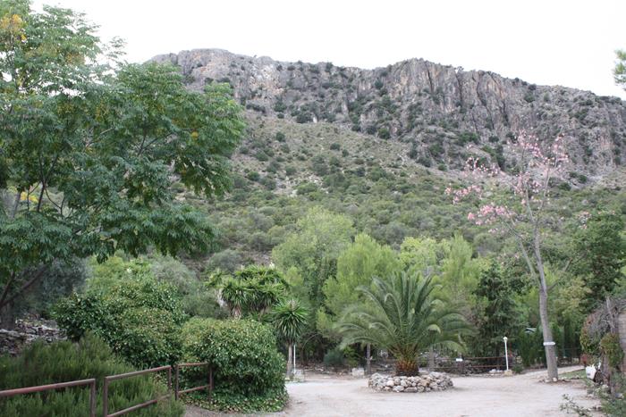 Escapada de Yoga en Andalucia España 19